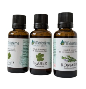 Méristème - produits