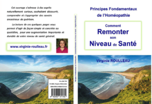 COUVERTURE LIVRE VIRGINIE ROULLEAU