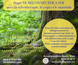 stage êtresubtil.com
