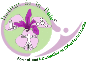 Institut de la Baie - Logo