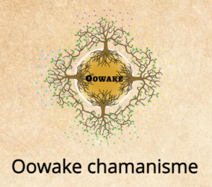 Capture-decran-2025-07-21-a-12.00.24-300x265