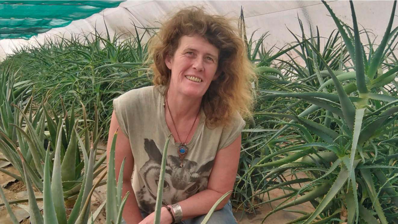 Capture d’écran 2026-02-12 à 09.45.02