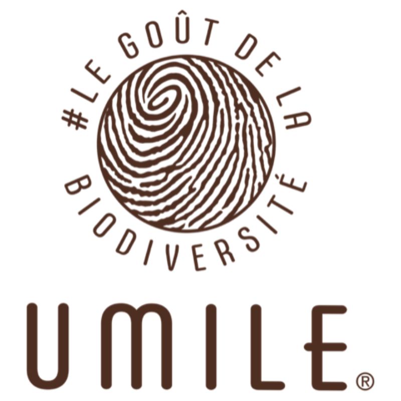 Umile logo